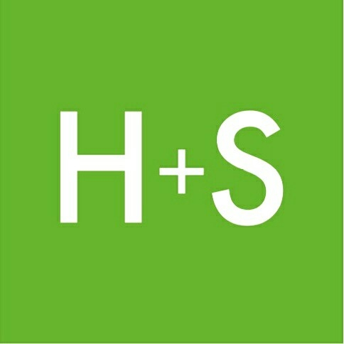 Hoehler+alSalmy H+S - logo